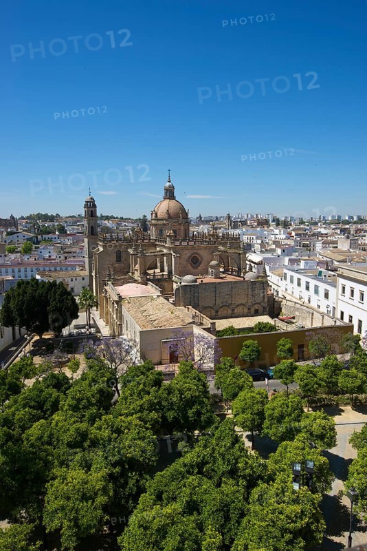Cathedral La Colegiata del Salvador