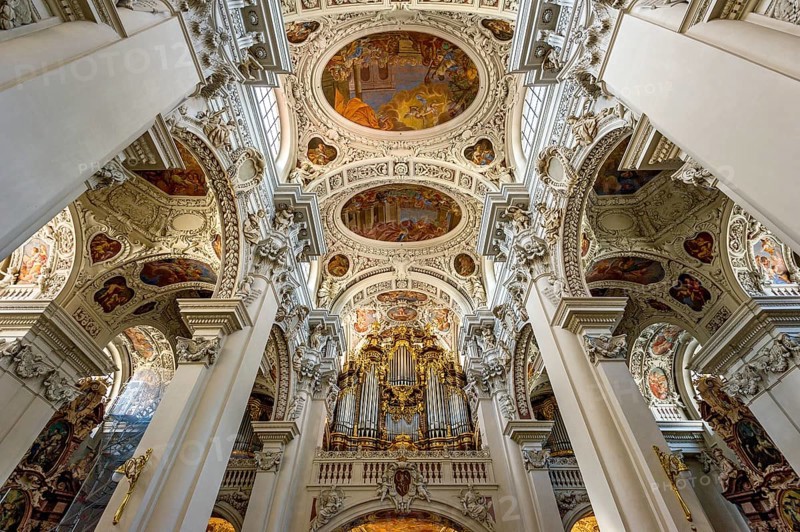 Organ