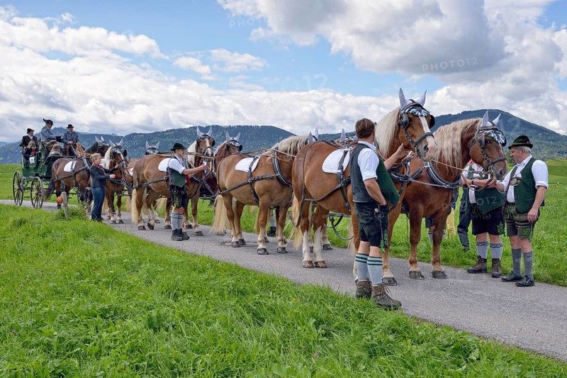Ten-horse carriage with cold-blooded horses from Leitzachtal Valley