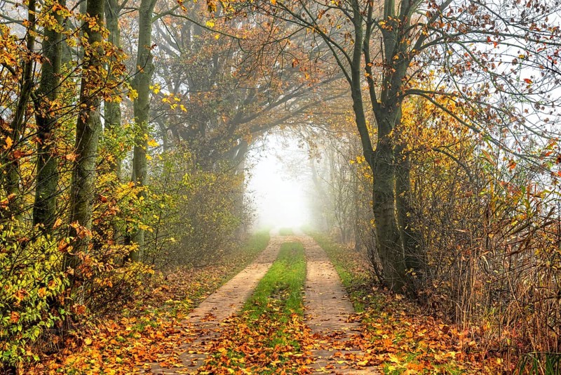 Autumnal view of Marschbahndamm road