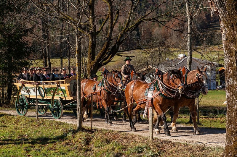 Carriage at Leonhardi ride in Kreuth