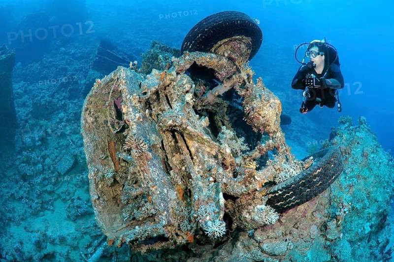 Diver looking at Bedford military trucks abandoned in the Red Sea during the Six Day War