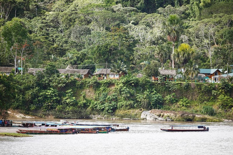 Dugout canoes on the jungle beach of Misahualli