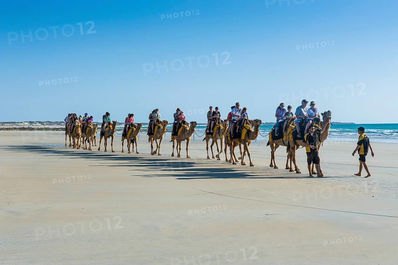 Tourists riding on camels on Cable Beach