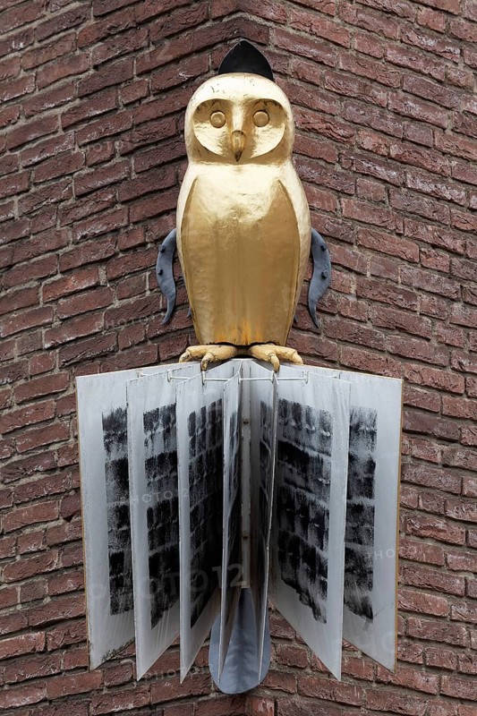 Figure of an owl at a bookshop