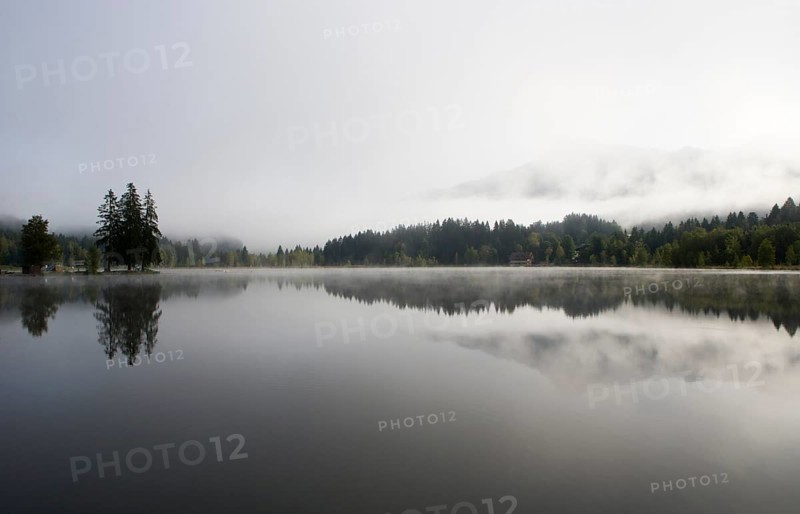 Morning fog