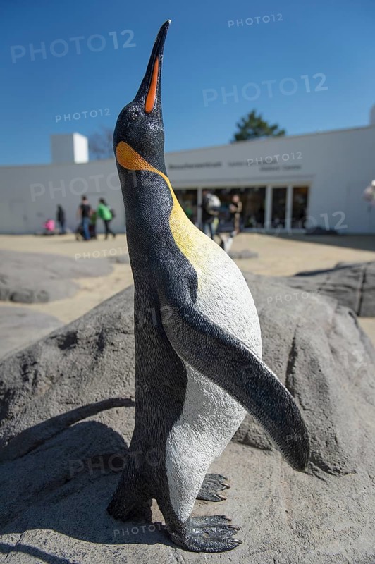 Replica of a King Penguin (Aptenodytes patagonicus)