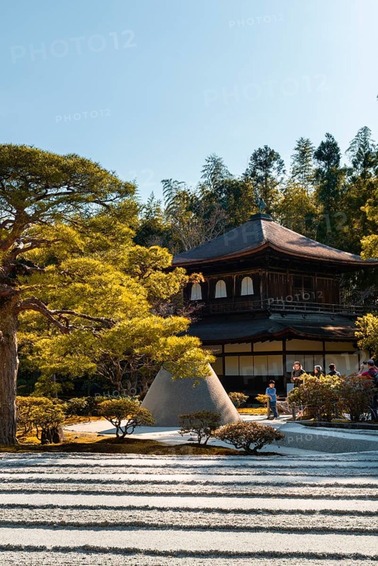 Rock garden
