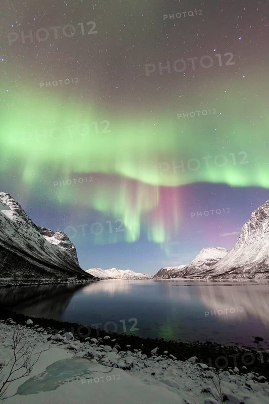 Aurora over the Grotfjord