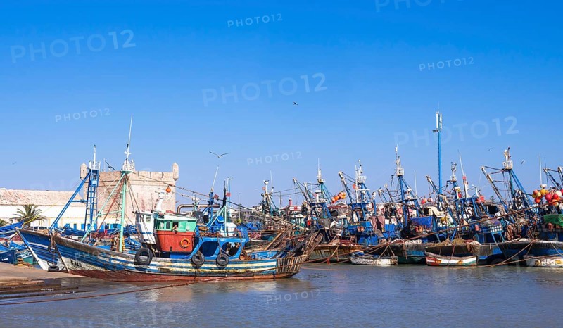 Fishing boats in the port of Essaouira