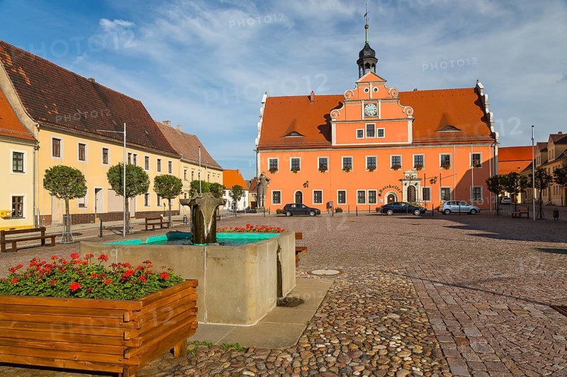 Fountain in the market square with the Town Hall