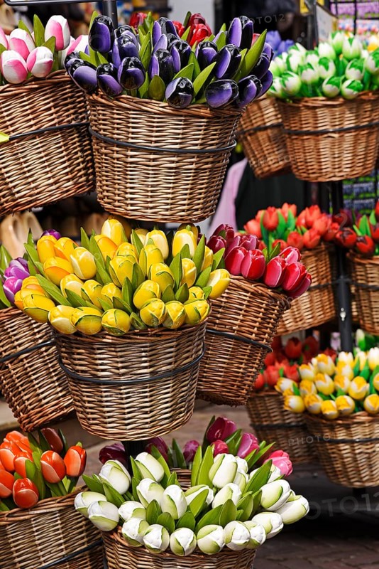 Artificial tulips