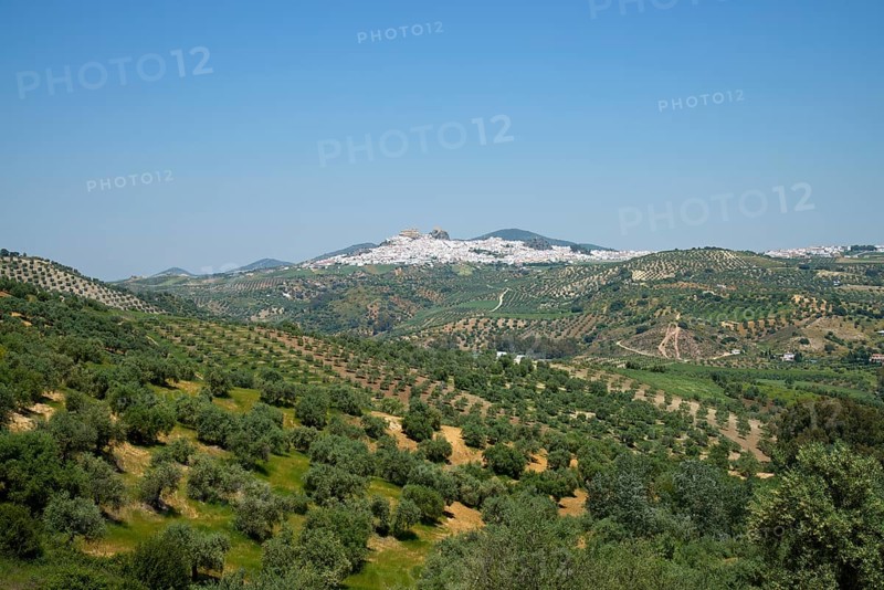 Olvera with the Nuestra Senora de la Encarnacion church and a Moorish castle