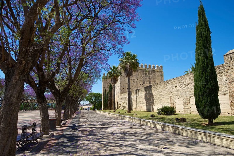 Alcazar de Jerez
