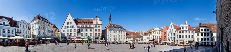 Panoramic View