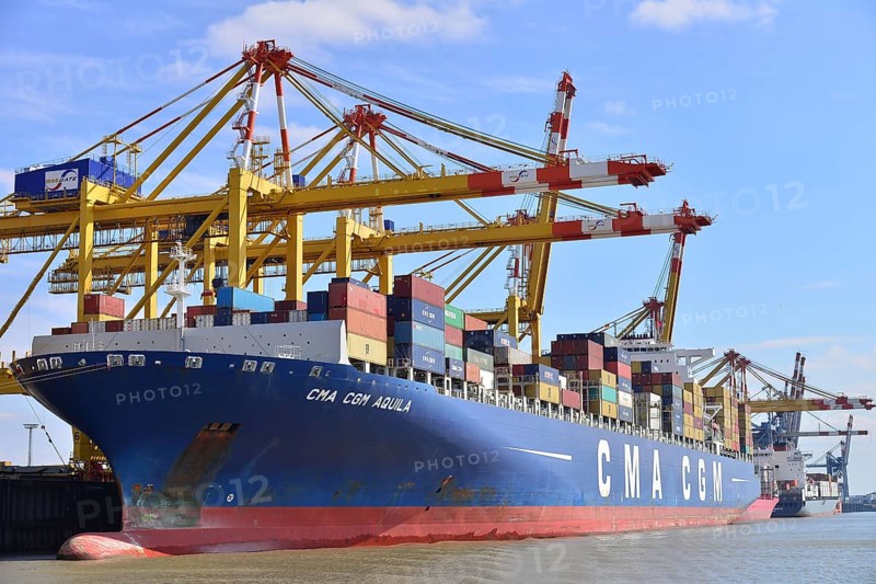 Container ship and gantry cranes