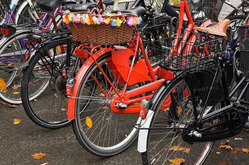 Row of parked bicycles