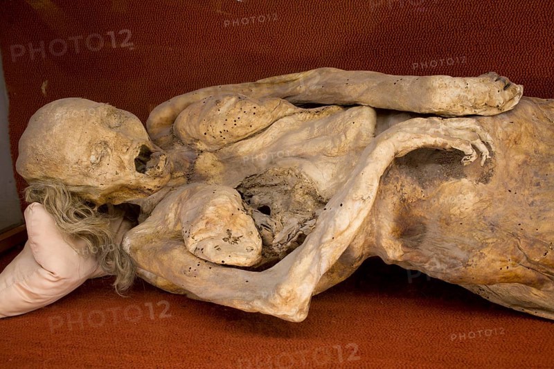 Mummy in the Mummies' Museum