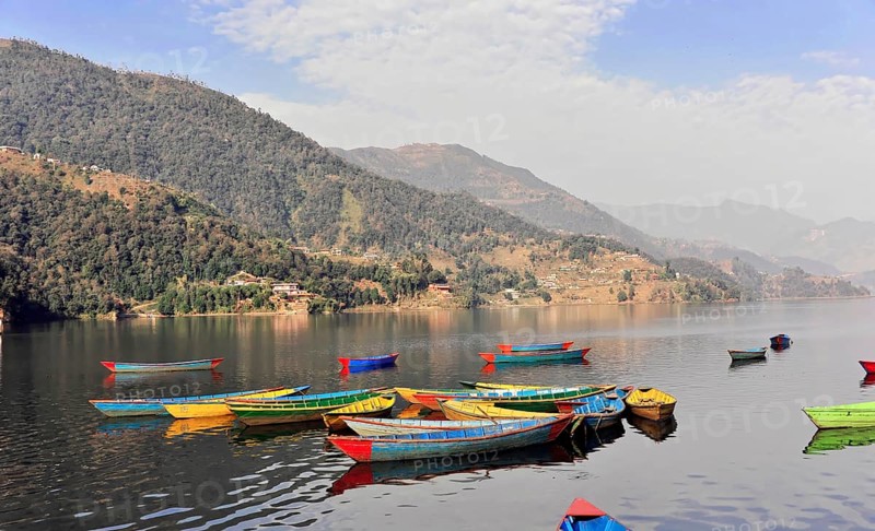 Rowing boats on Phewa Lake