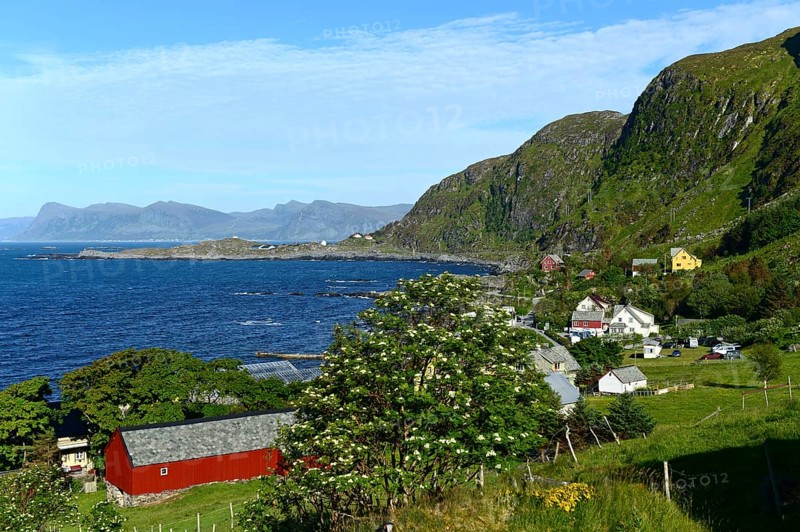 Coastline