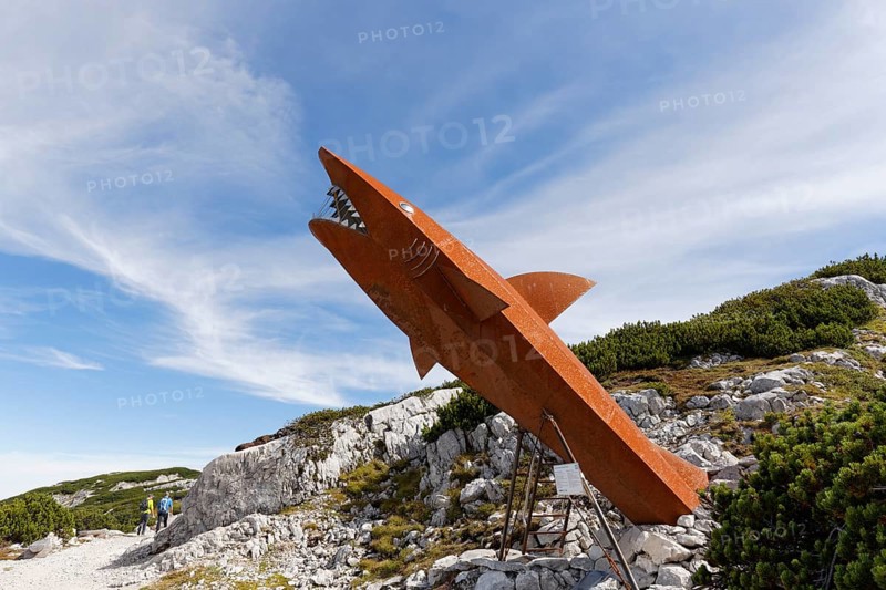 Dachstein shark at the Heilbronn circular walk