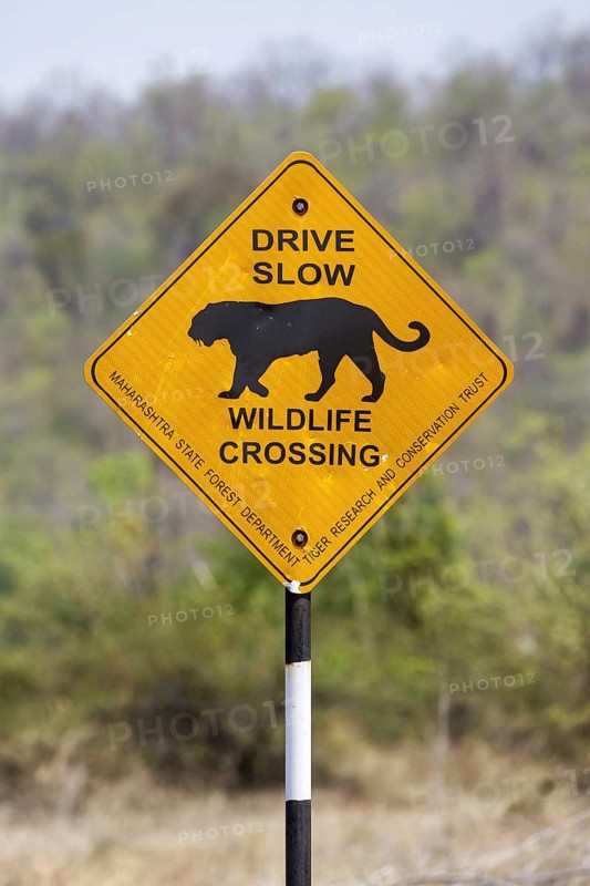 Road sign