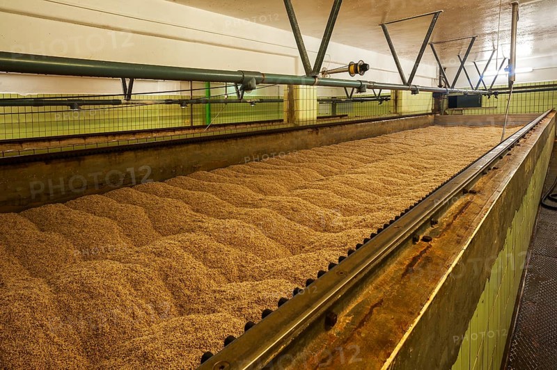 Malting box in a malthouse