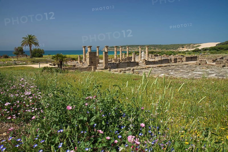 Roman ruins of Baelo Claudia near Bolonia