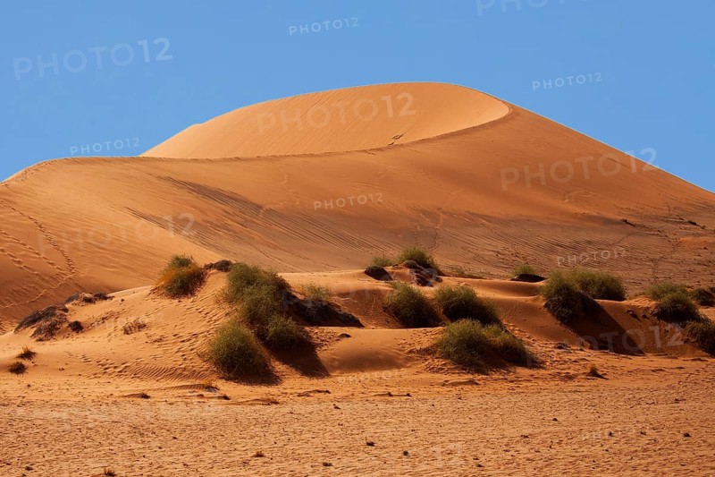 Sand dune