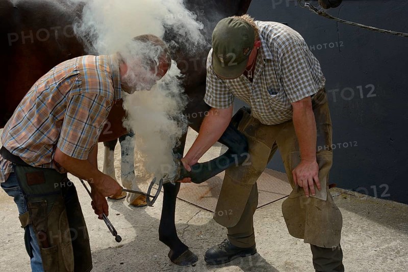 Farrier shoeing a horse