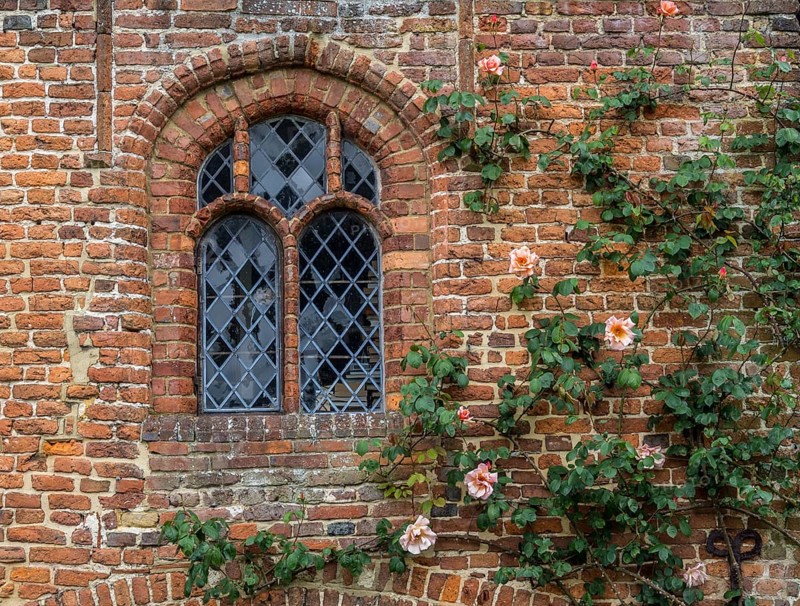 Window