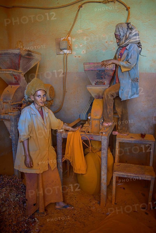 Women working in a Berbere red pepper spice factory at the Medebar market