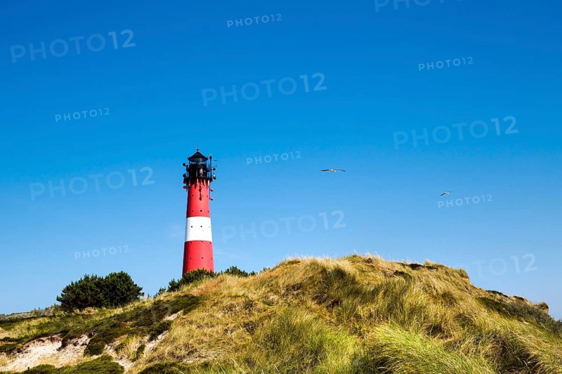 Dunes and lighthouse Hornum