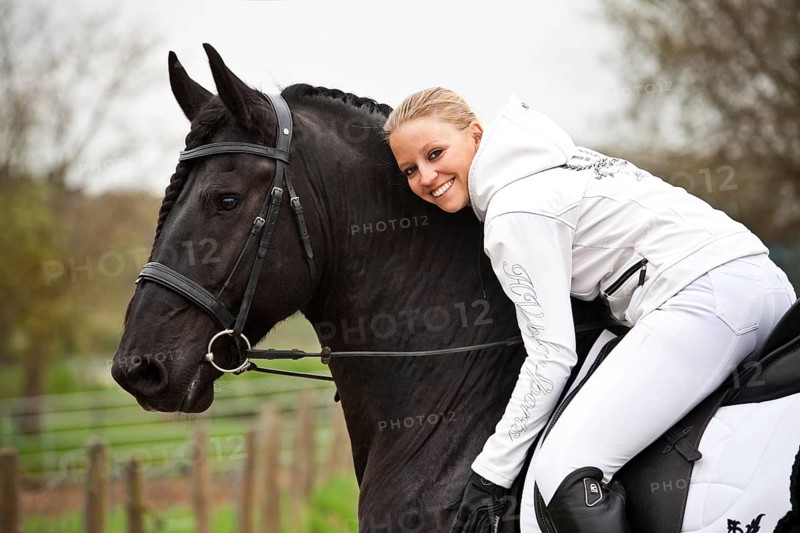 Friesian or Frisian horse