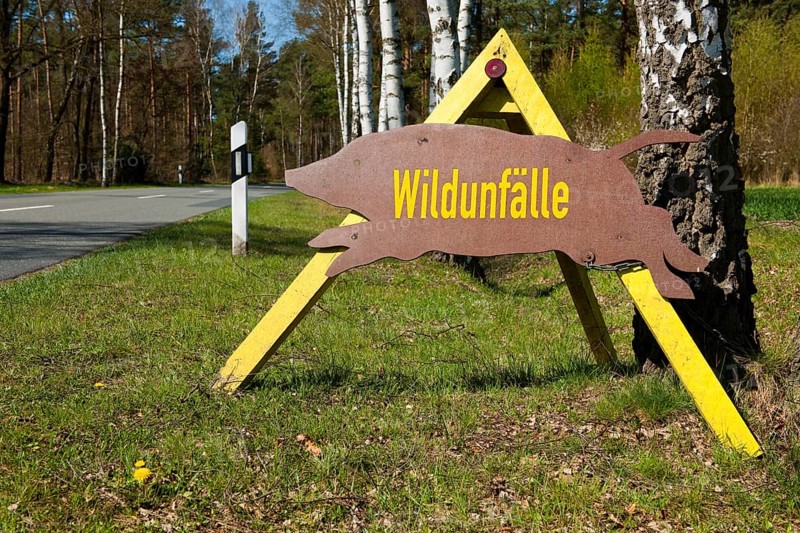 Sign with the German word ""Wildunfalle""