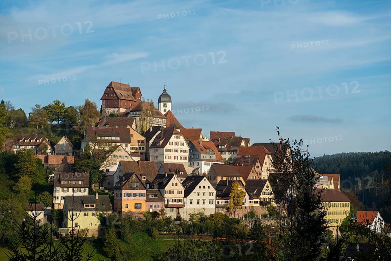 View of Altensteig