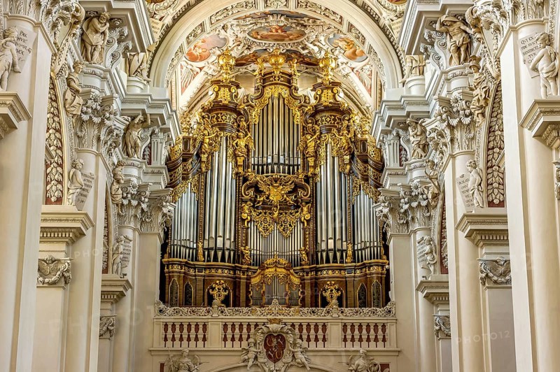 Organ