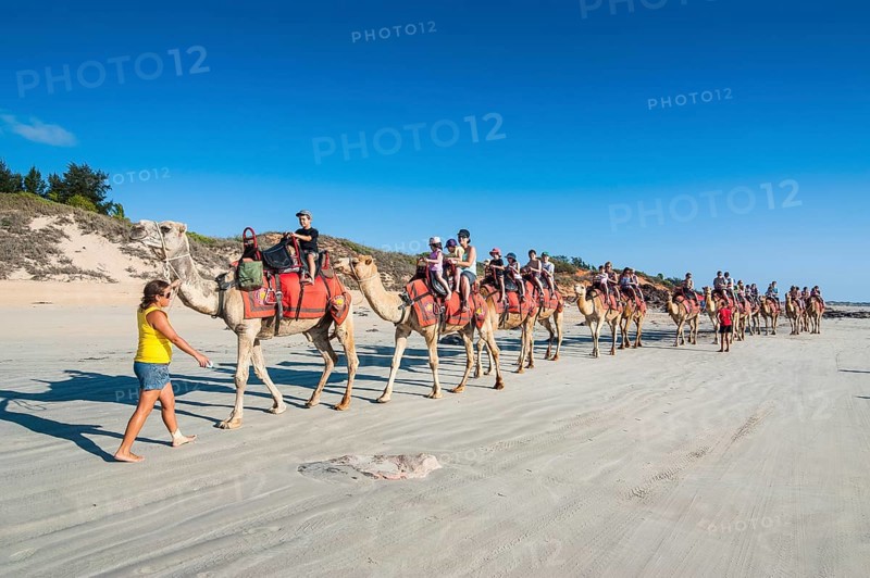 Tourists riding on camels on Cable Beach