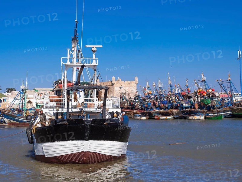 Fishing boats in the port of Essaouira
