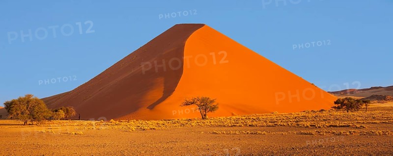 Dune