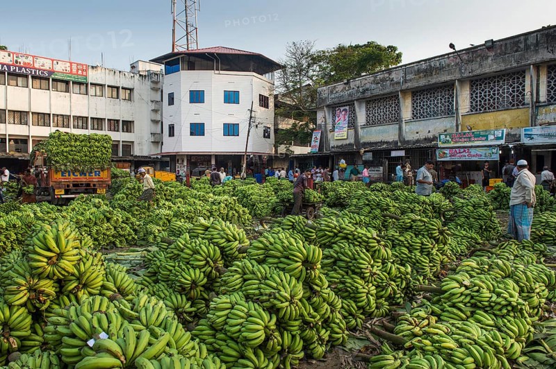 Banana market