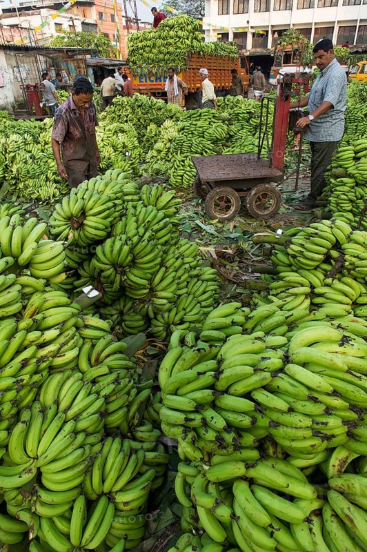 Banana sellers and workers on the Broadway Market