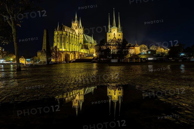 Erfurt Cathedral and Church of St. Severus at night with reflection in a puddle