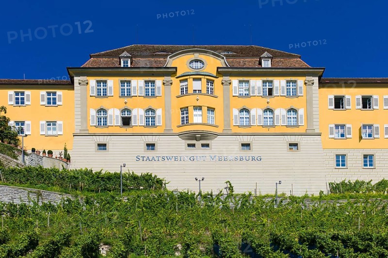 State Winery Meersburg