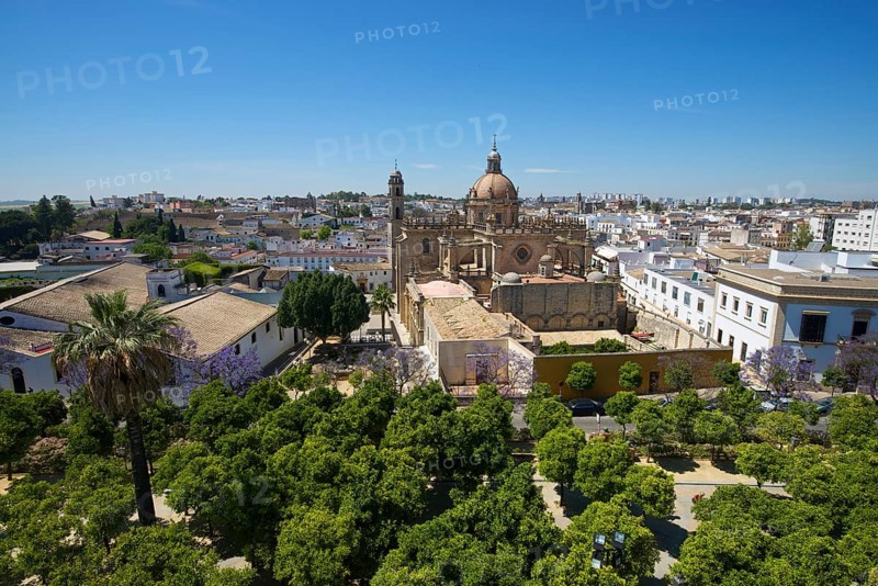 Cathedral La Colegiata del Salvador