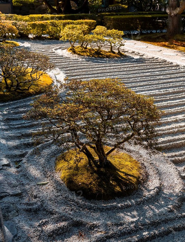 Rock garden