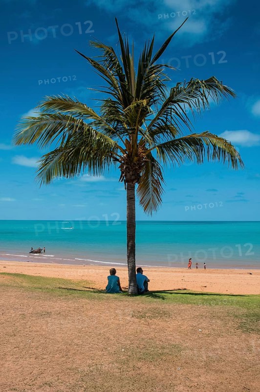 Tourists underneath a palm