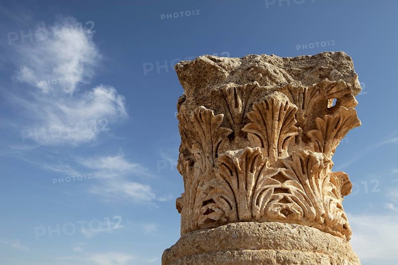 Column head
