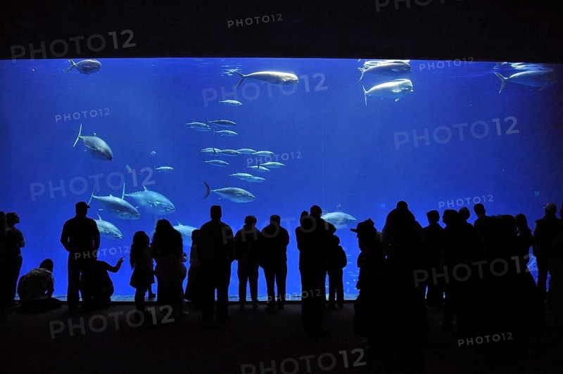 Monterey Bay Aquarium