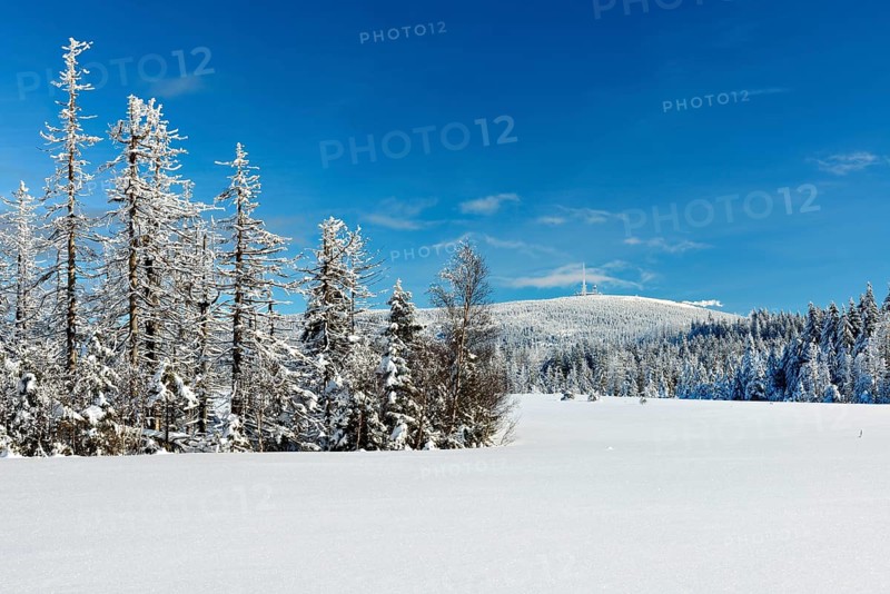 Snow-covered winter landscape